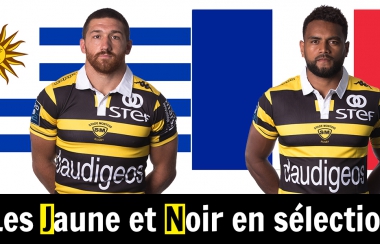 Les Jaune et Noir en sélection nationale