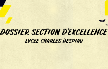 DOSSIER SECTION D'EXCELLENCE