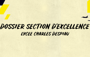 CANDIDATURE SECTION D'EXCELLENCE - LYCEE CHARLES DESPIAU