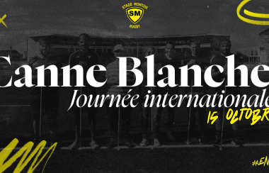 Journée Nationale de la Canne Blanche