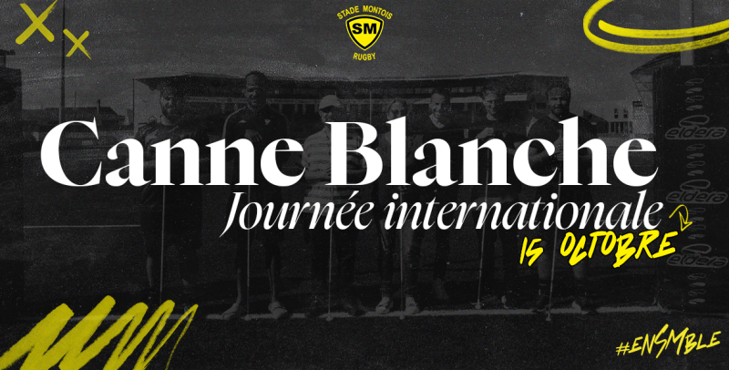 Journée Nationale de la Canne Blanche