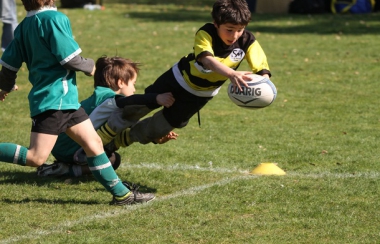 Resultats du Week end et Planning des matchs à venir