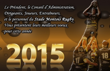 Meilleurs Voeux 2015