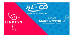 Logo AL & CO - LINKEYS