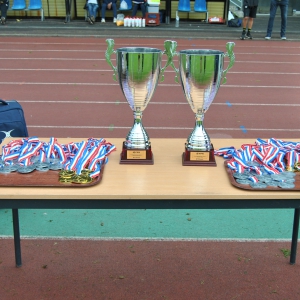 Image de FINALES CHAMPIONNAT DE FRANCE RUGBY A 7 