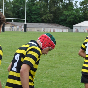 Image de FINALES CHAMPIONNAT DE FRANCE RUGBY A 7 