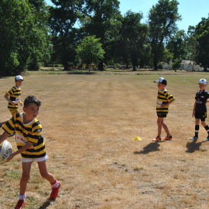 Image de Stage Eté Rugby Plaisir - 2022