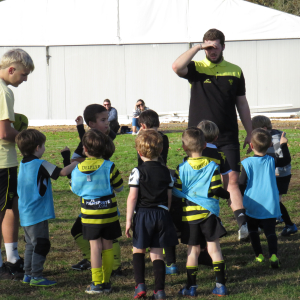 Image de Ecole de rugby 