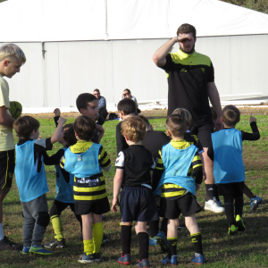 Image de Ecole de rugby 