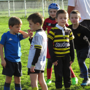 Image de Ecole de rugby 