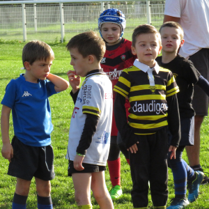 Image de Ecole de rugby 