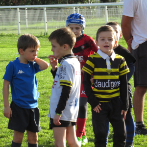 Image de Ecole de rugby 