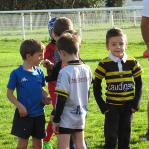 Image de Ecole de rugby 