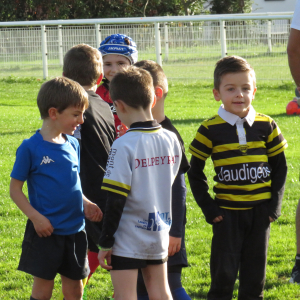 Image de Ecole de rugby 