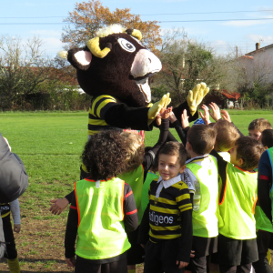 Image de Ecole de rugby 