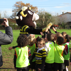 Image de Ecole de rugby 