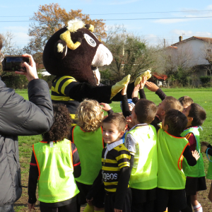 Image de Ecole de rugby 