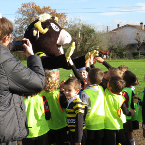 Image de Ecole de rugby 