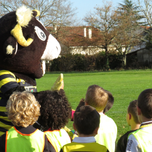 Image de Ecole de rugby 