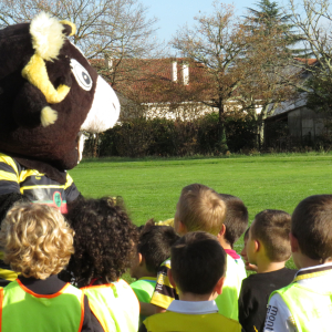 Image de Ecole de rugby 