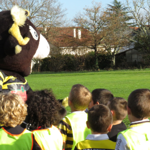 Image de Ecole de rugby 