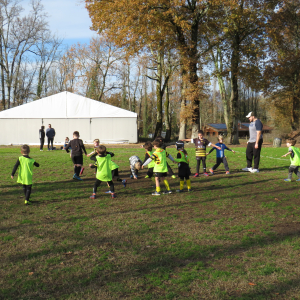 Image de Ecole de rugby 