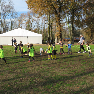 Image de Ecole de rugby 