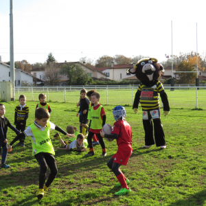 Image de Ecole de rugby 