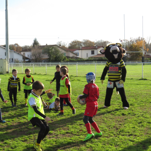 Image de Ecole de rugby 