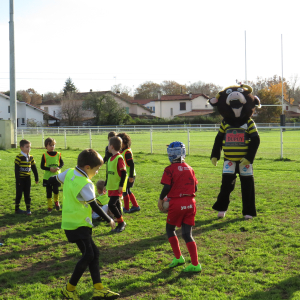 Image de Ecole de rugby 