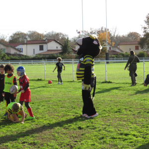 Image de Ecole de rugby 