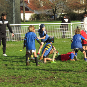 Image de Ecole de rugby 