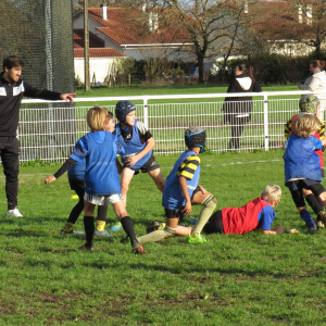 Image de Ecole de rugby 