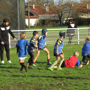 Image de Ecole de rugby 