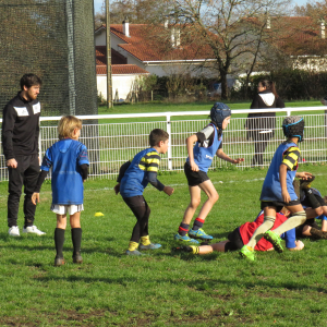 Image de Ecole de rugby 