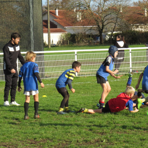 Image de Ecole de rugby 