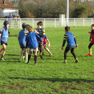 Image de Ecole de rugby 