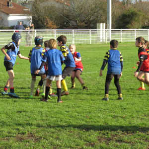 Image de Ecole de rugby 