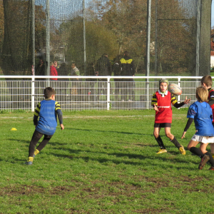 Image de Ecole de rugby 