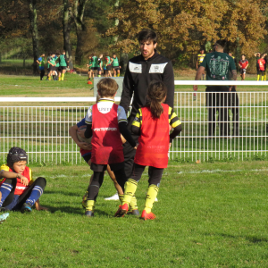 Image de Ecole de rugby 