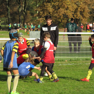 Image de Ecole de rugby 