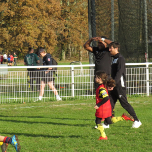 Image de Ecole de rugby 