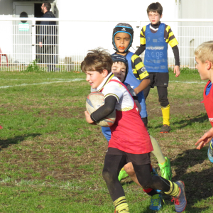 Image de Ecole de rugby 