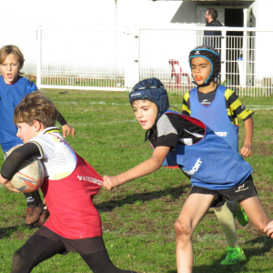 Image de Ecole de rugby 