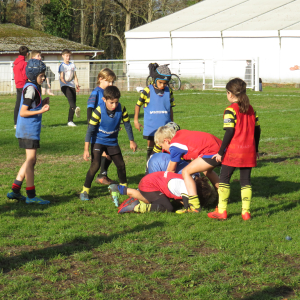 Image de Ecole de rugby 