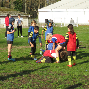 Image de Ecole de rugby 