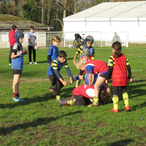 Image de Ecole de rugby 