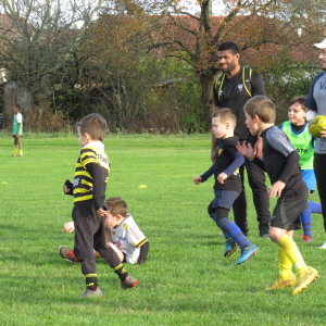 Image de Ecole de rugby 