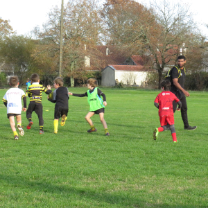 Image de Ecole de rugby 