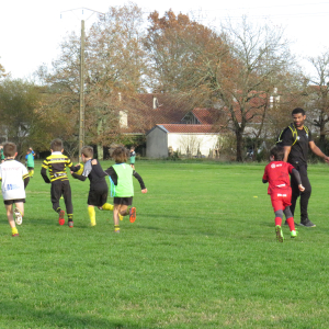 Image de Ecole de rugby 